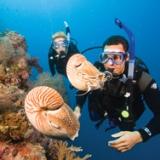 Cross Current Divers Adventure Diver Course