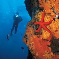 Cross Current Divers Dive Master Course