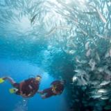 Cross Current Divers Master Scuba Diver Course