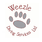 Weezle